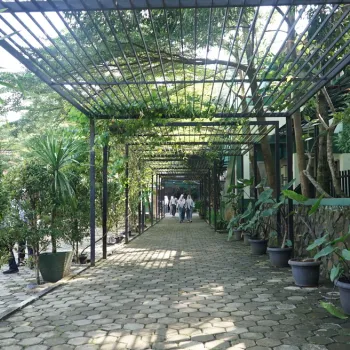 Jalur Hijau
