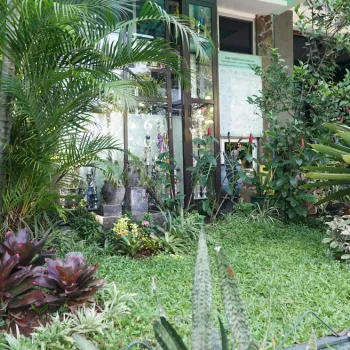 Taman